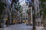 <center></center><center>Place des Palmiers.</center>