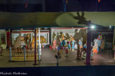 <center>Le cirque</center>