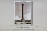 <center>Alexandrie</center>Vue de la Grande Colonne appelée de Pompée.