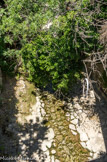 Pont de Cas. Ruisseau Caravelle.