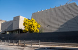 <center>Synagogue Tiferet-Israël.</center>Elle est située au 205 boulevard Sainte-Marguerite et fut construite entre 1969 et 1973. L'arrchitecte est Fernand Boukobza. Deux volumes forts, parallélépipède et pyramide tronquée –distingués par la césure de l’axe principal d’accès– expriment les deux fonctions principales de l’édifice, école talmudique et lieu de culte. Pour ce dernier, le choix d’un plan carré de seize mètres de côté, convient au dispositif du culte centré sur l’officiant. La peau extérieure de l’édifice est en béton brut de décoffrage, avec un jeu accentué d’alternance de bandes en relief et en creux. Le volume réservé à l’école talmudique distingue un rez-de-chaussée largement transparent de l’étage plus fermé et scandé par des volumes pleins en porte-à-faux. Cette austérité convenable de l’extérieur est tempérée à l’intérieur par l’utilisation de la pierre en placage et du bois.