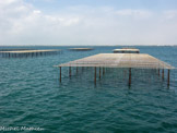 <center> Le Grand Port Maritime de Marseille-Fos. </center> Ostréiculture.