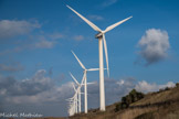 <center>Parc des éoliennes</center>