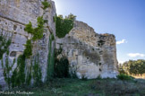 <center>Abbaye de Saint-Roman</center>