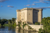 <center>Le château du roi René</center>À cet emplacement s'élevait un premier château qui fut occupé au milieu du XIIIe siècle par Charles d’Anjou, comte de Provence et frère de Saint-Louis, roi de France. Ce château est agrandi par son fils Charles II dit « le boiteux ». À son retour d'Italie Louis II d'Anjou, comte de Provence, fait entreprendre le 27 novembre 1400 la reconstruction du château à l'emplacement qu'il occupait. Les travaux avancent rapidement, mais sont interrompus quelques années plus tard et sont repris de 1428 à 1435 par son fils Louis III d'Anjou. L'architecte était Jean Robert auquel furent adjoints les sculpteurs Simon de Beaujeu et Jacques Morel. Le roi René n'y apporta que de petites modifications de 1447 à 1449.