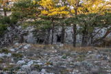 <center>Le Mont Caume Est</center>Ruines des plates-formes d'artillerie taillées dans le roc de la première batterie.