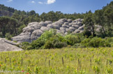 Les grès de Sainte-Anne d'Evenos sont des roches friables, provenant de la sédimentation de sables déposés en milieu marin au Crétacé. Le sable provenait de l'érosion d'un massif cristallin et métamorphique situé plus au Sud. Sous l’effet de la pression ces dépôts détritiques vont sédimenter et s’indurer. Ultérieurement une phase de régression (retrait de la mer) conduit à l’assèchement du golfe dit de basse Provence. Puis des mouvements tectoniques de plissements et de soulèvement de la couverture sédimentaires se mettent en place. A l’Oligocène l’anticlinal du Gros  Cerveau  émerge et la barre de la Jaume se redresse. Pendant le Quaternaire, les variations climatiques provoquent une phase d’érosion intense qui donne naissance, d'une part aux taffonis des grès et, d'autre part à l’érosion karstique.