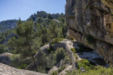 Ruines d’une ancienne  bergerie et ses anciennes habitations troglodytes, en dessous de la barre calcaire.