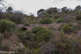 <center>Roquebrune-sur-Argens. </center>L'aqueduc des 25 ponts qui alimentait en eau la  Ffontaine Vieille. Il est longé par le sentier botanique.