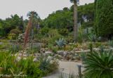 <center>Parc Animalier et Botanique de Sanary</center>