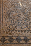 <center>Musée de Tauroetum</center>La pie symbole de la vigilance