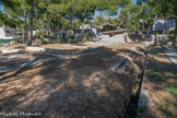 <center>Musée de Tauroetum</center>A droite, au delà de l'impluvium, un portique, large de 4 m et long de 43 m, distribuait cette aile où ont été relevés les vestiges de 17 pièces dont un étroit corridor qui a pu être aménagé en un escalier en bois pour monter à l’étage. Une mosaïque polychrome ornait le sol de la grande pièce centrale, possible tablinum. Les deux premières pièces possédaient des mosaïques blanches à bordures noires. Au bout du portique, une porte probablement ouvragée, pouvait donner accès aux appartements privés du niveau II.