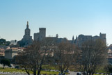 La cathédrale des Doms, le Palais des Papes.
