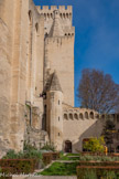 <center>Les jardins du Palais</center>Tourelle abritant l'escalier en colimaçon, la tour des cuisines, avec le sommet de la cheminée, la tour de Trouillas.
