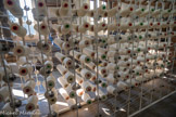 <center>La manufacture Brun de Vian-Tiran.</center>Le présentoir.